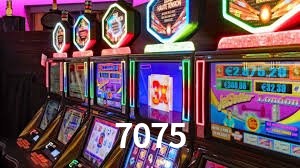 Bônus Diários 7075